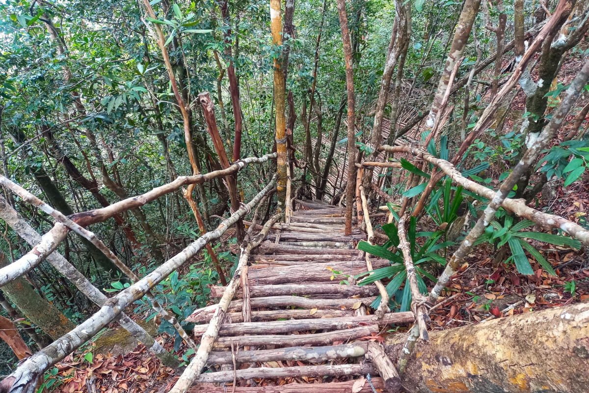Scenic beachside hiking trail along Ganh Dau coastline